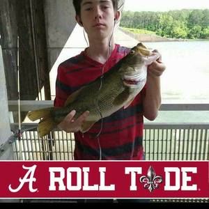 Meet your Posher, Devin